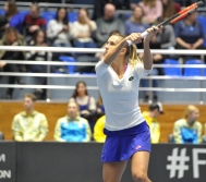 Кубок Федерации. Украина - Австралия